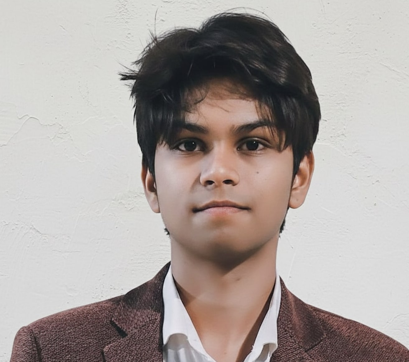 Ananda Prem, Software Developer